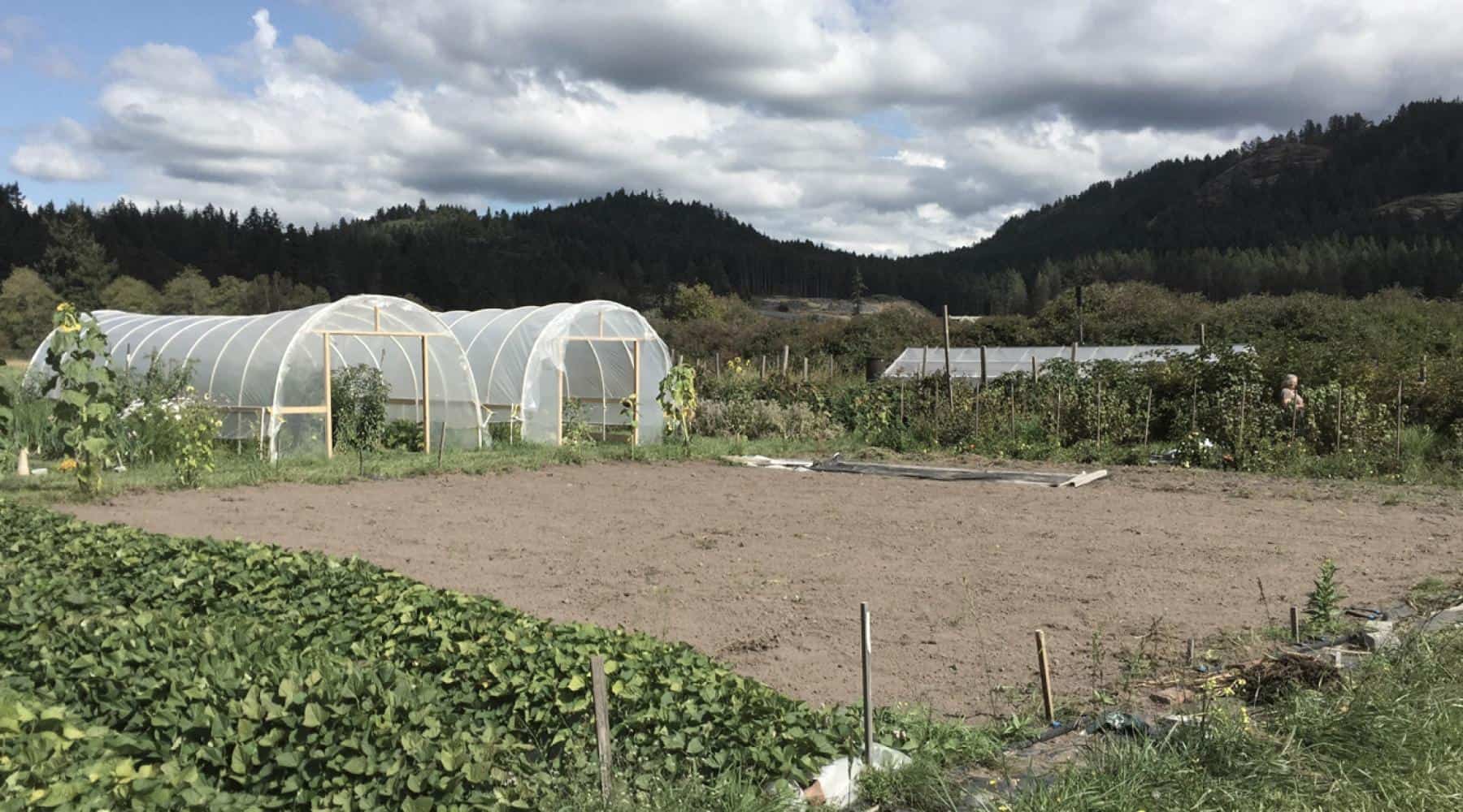 Rural community farm with greenhouse tunnels, garden beds, and forested hills in the background